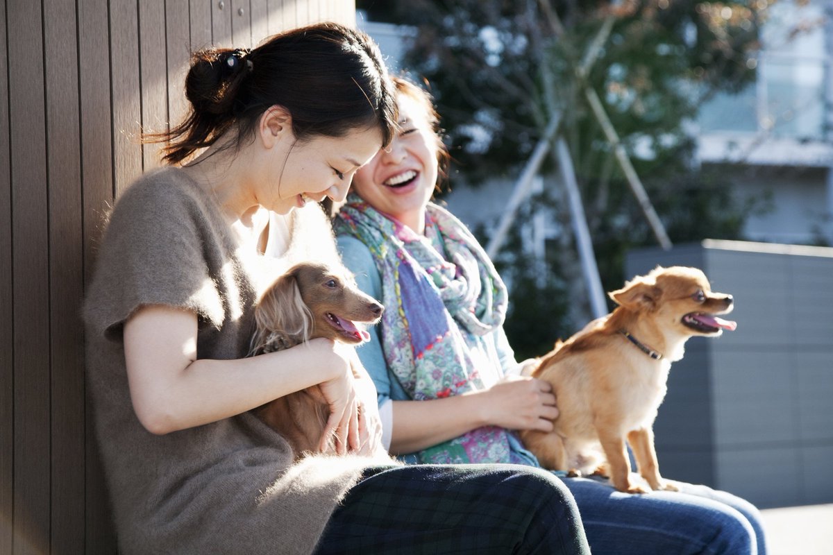 Boehringer_AH's tweet photo. #Dogs suffering from #cardiovascular disease will now have an opportunity for an improved quality of life https://t.co/kxKU1AEkn0 #EPICStudy https://t.co/ZxnldEEh2w