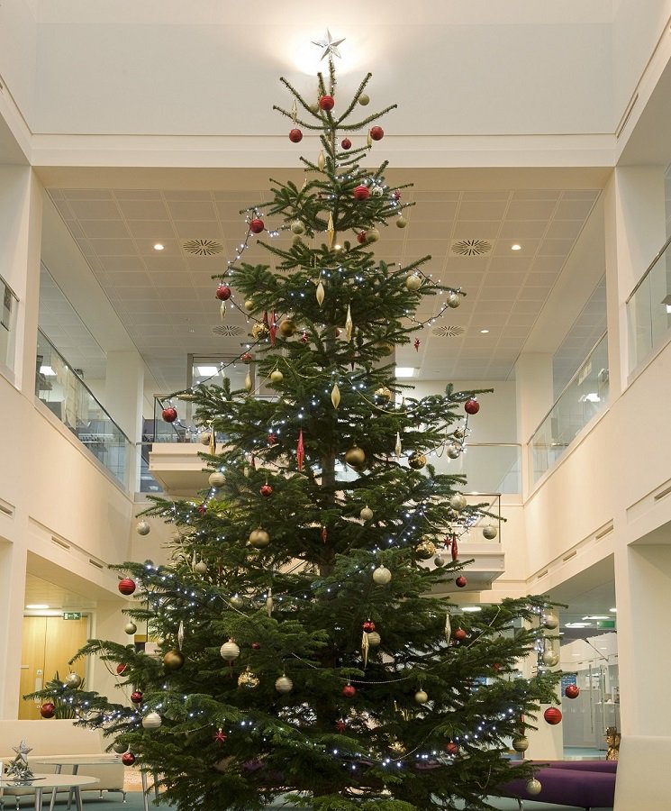 Order your #decoratedchristmastree before our deadline on 3rd November ow.ly/hpAI30gfK9s