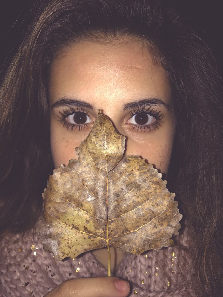 Mkanesphotooos's tweet photo. #chsfall https://t.co/swMI7bNjts