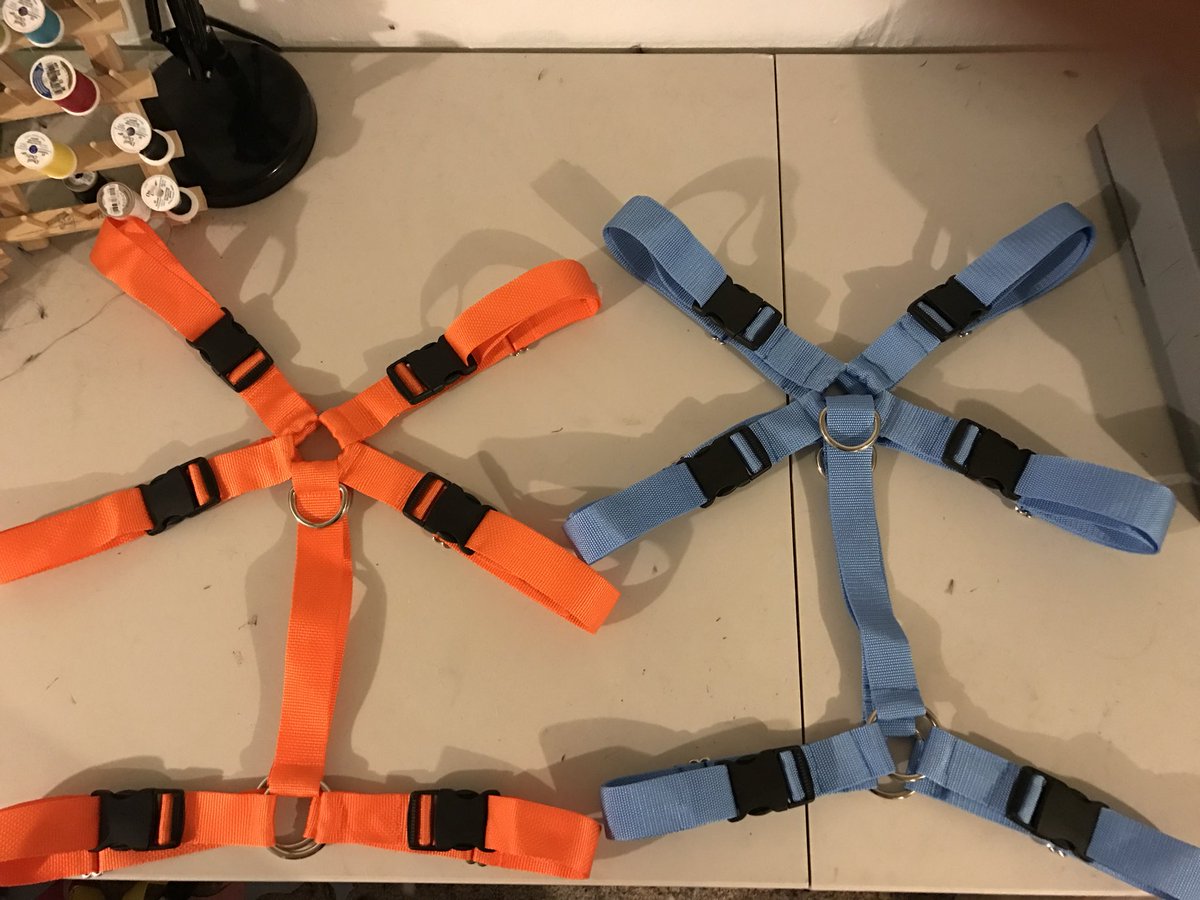 DalmyDoDat's tweet photo. I Have some extra parts for sale! 
Sockpaws -$200 + shipping 
Harnesses - $150 + shipping

DM for details!
(RTs Appreciated!) https://t.co/Cyi1IBykhO