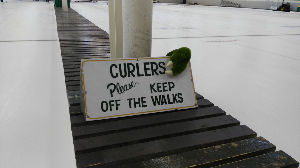 CrisiaT's tweet photo. Happy Halloween #yeg #curling lovers. Obey the rules or T-Rex will get you! #Halloween  #yegcurling #yegsports https://t.co/tlZgcL1m5y