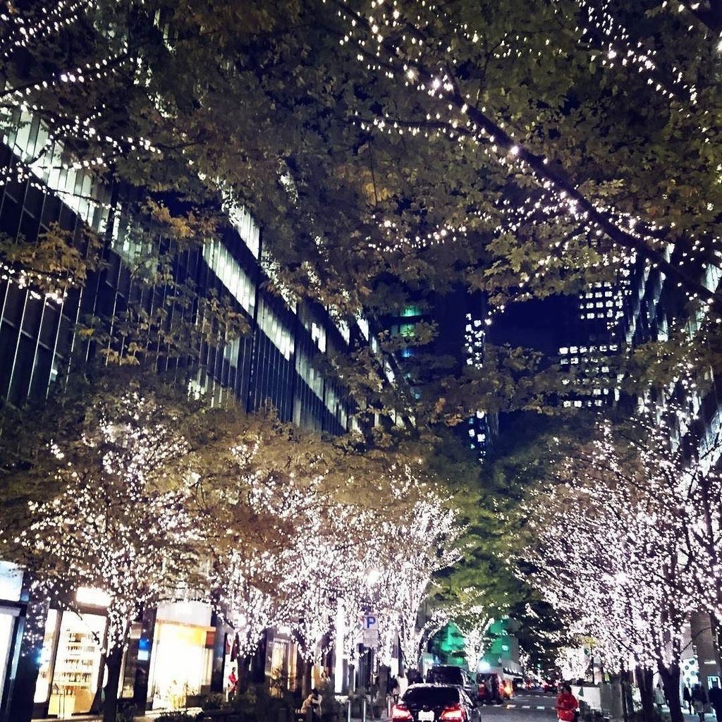 bebedollchannel's tweet photo. 丸の内のオシャレな並木道。なんとゆー通りだろうか。早くもイルミネーションがキレイでした。さっきまでハロウィンだったとゆーのに、イルミネーションと言えばクリスマスではないか。気候もすっかり冬っぽくなってしまって、今年は秋を感じる間… https://t.co/8Cr0RmxUMU https://t.co/dIldekcMXY