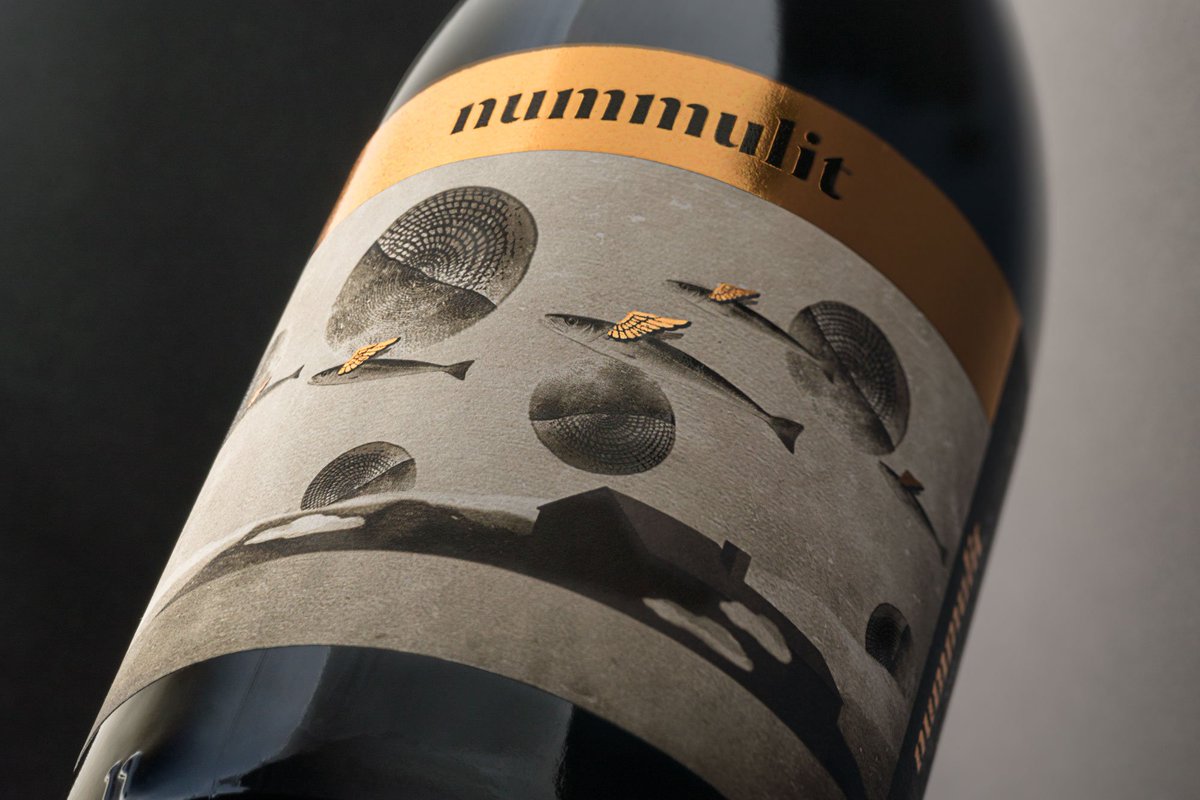 GirafaStudio's tweet photo. Nummulit vi del celler @El_Vinyer. Nummulits i peixos símbol del mar fan un viatge pel cel deixant pas al paisatge de Fígols @TurismeJussa https://t.co/OjIV4LoVox