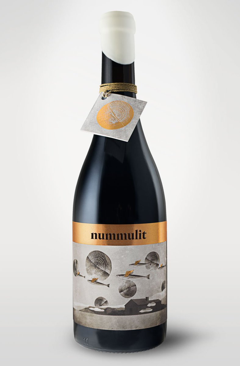 GirafaStudio's tweet photo. Nummulit vi del celler @El_Vinyer. Nummulits i peixos símbol del mar fan un viatge pel cel deixant pas al paisatge de Fígols @TurismeJussa https://t.co/OjIV4LoVox