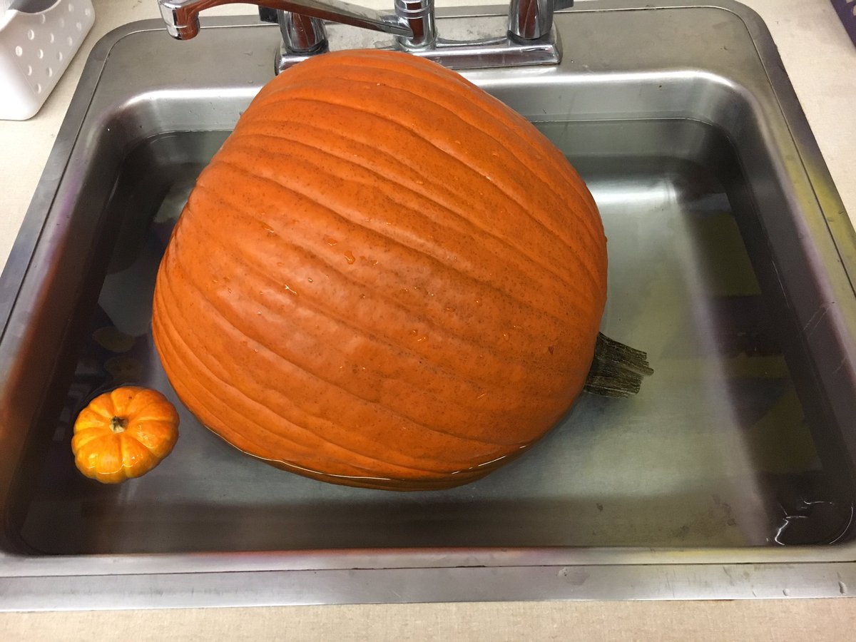 Did you know that pumpkins float?  Even pumpkins that weigh 23 pounds! #halloweenscience #happeningathowell