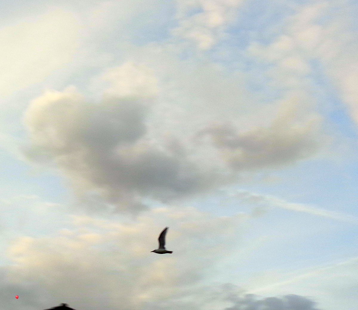 UnbesetztSynth's tweet photo. “My soul is in the sky.” #RegentsCanal #Pyramus #AMidsummerNightsDream #hochschnellen @reedandcaroline @drunkenpoet92 @VeryRecords :: Halo🌔! https://t.co/CEXj0MU1Or