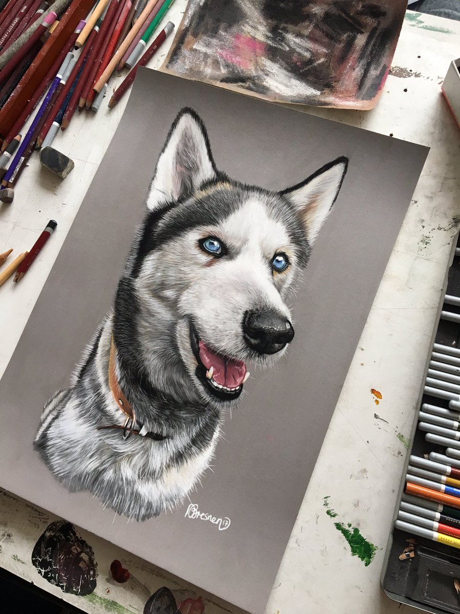 AdamsPortraits's tweet photo. Balto-latest dog portrait. Contact me for commissions! #husky #huskydog #christmasideas #petportrait #derwent #carbothello https://t.co/4aRQ5bwvXN