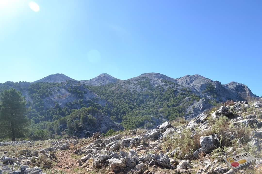 ALPINA_eotl's tweet photo. Ruta interp. subida al Simancón y Reloj (29/10/2017)
@cadizturismo @turismojerez @DestinoCadiz #ruta #ocio #sierradegrazalema #simancon https://t.co/WA9YyHgpi9