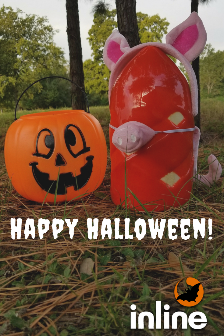 ilspigs's tweet photo. Our pigs are ready for Halloween! Have a safe and happy Halloween everyone!! #inlineservices #inlinepigs #happyhalloween https://t.co/bQMtdk8KMR