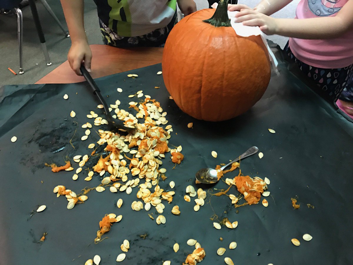 ahintz's tweet photo. Pumpkin Math! Counting seeds by 10s. How many do you think came out of this huge Pumpkin? 1st Gr predicting. #kasperk @gattisrrisd https://t.co/1fiOdL9Nk0