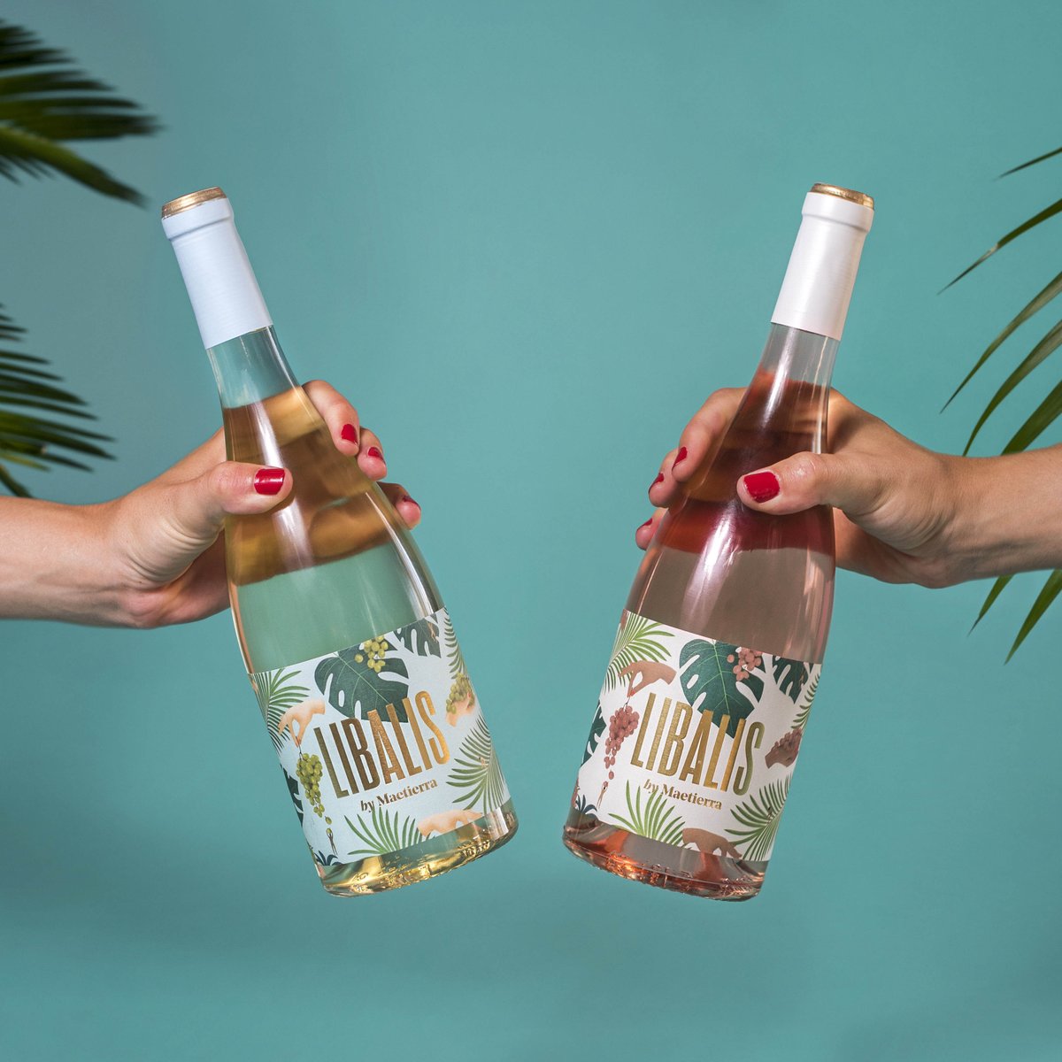 libaliswine's tweet photo. - Hola, ¡soy el blanco perfecto!
- No me digas eso, ¡que me pongo colorá!
#Libalis #DemocraticWines #vino #wine #winelovers https://t.co/O5SEqz60L2