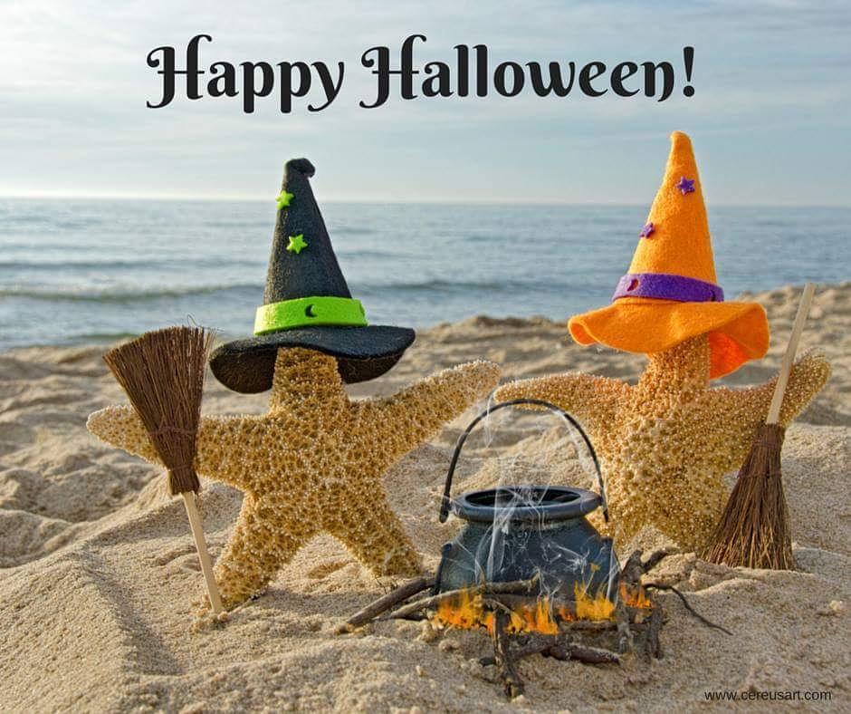 Happy Halloween from us to you! Tag us in your best costumes! 
#Halloween #Pumpkin #boo #halloween2017 #beach ift.tt/2z2iZU2