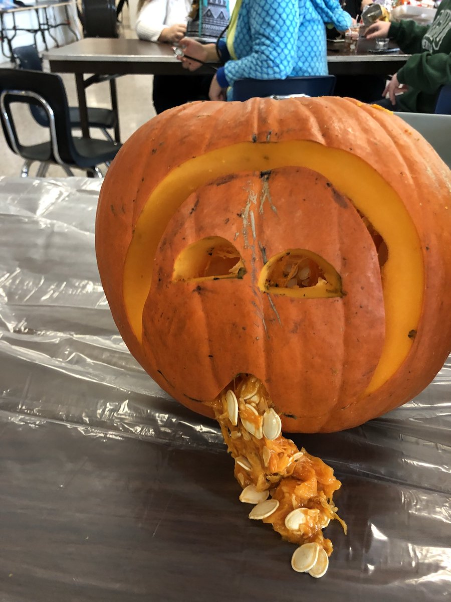 Lunch Bunch tweet media