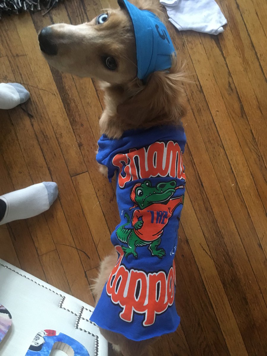dog_rates's tweet photo. This is Juke. He dressed pup as @chancetherapper. Hat and all. Favorite song is Cocoa Pupper Kisses. 13/10 would tour with https://t.co/qRWJdMXvga