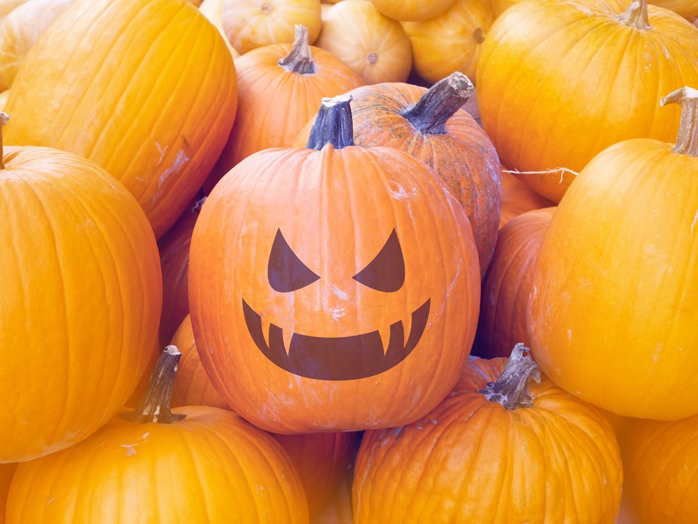 eetmee_de's tweet photo. Happy Halloween! 

#eetmee #halloween https://t.co/QBwUGME94J