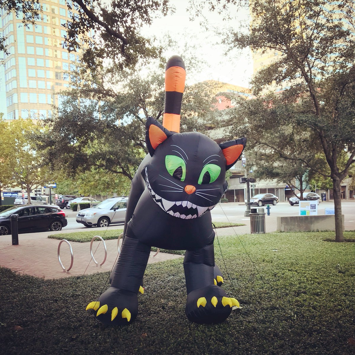DowntownHouston's tweet image. #DowntownHouston all decked out for #Halloween! 🎃👻