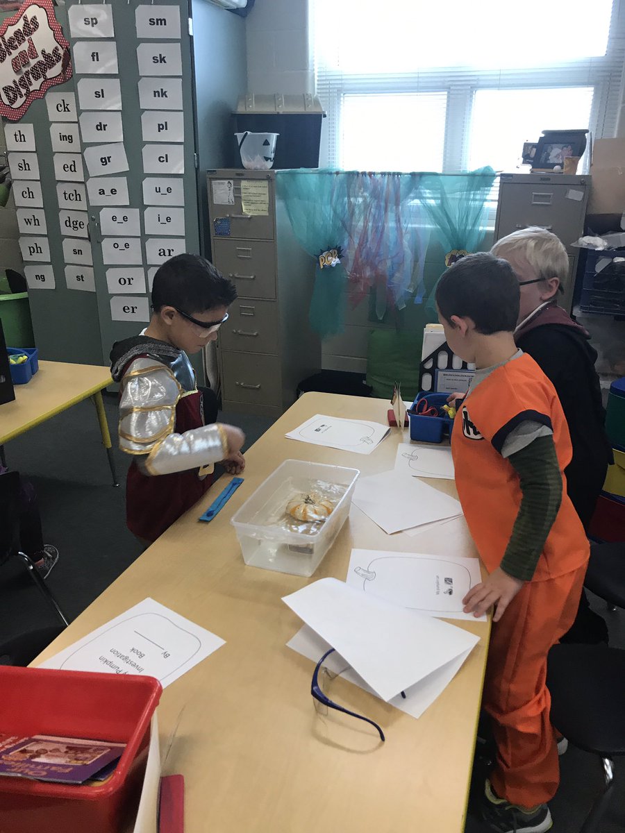 Tonya_Cogan's tweet photo. Investigating if a pumpkin sinks or floats https://t.co/ZK4dcf5tmf