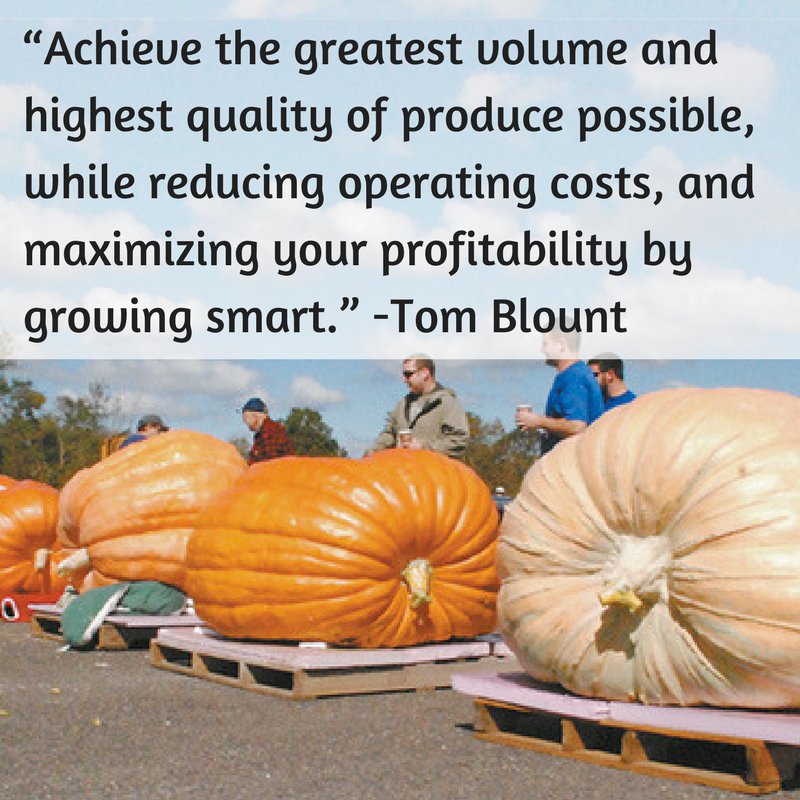 WebHydroponics's tweet photo. Happy Halloween! HUGE pumpkins!f https://t.co/kP4dBCY3t6