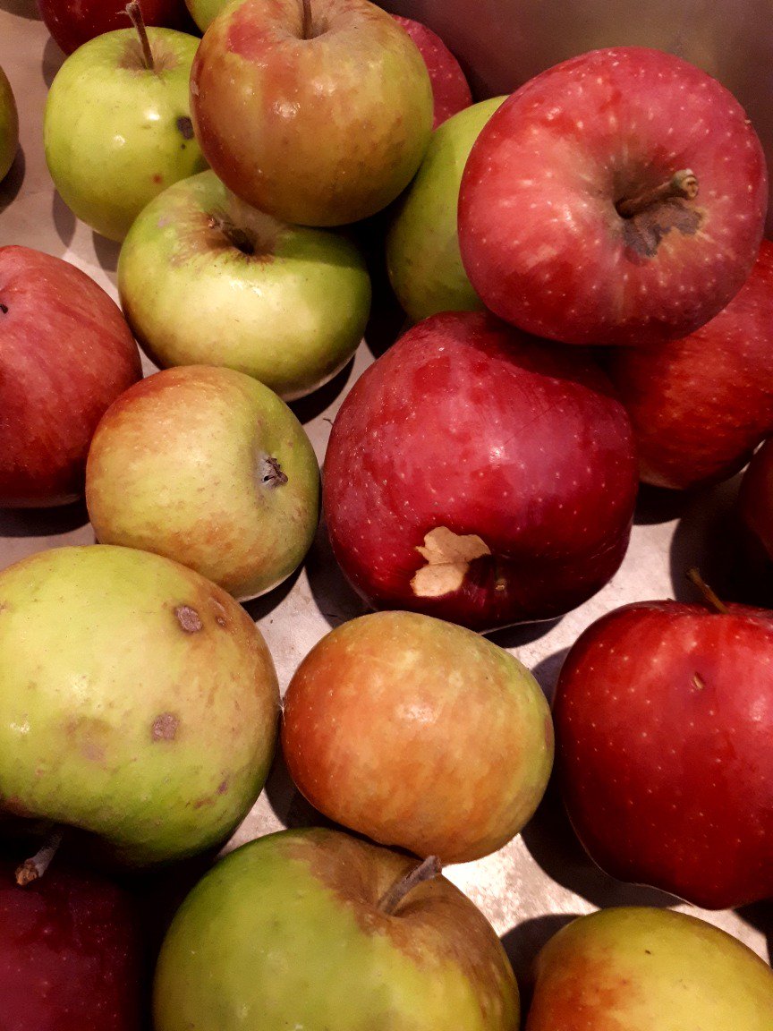 IvanFrankoHomes's tweet photo. Our residents help us to peel apples from our garden for the Home's traditional apple souse. Thank you everyone for coming and helping! https://t.co/AvjhISZZGc
