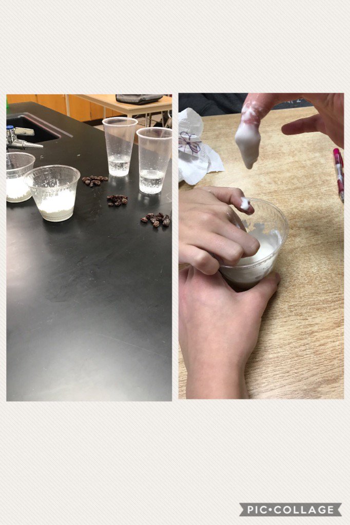 TiffanyFinch16's tweet photo. Ghostly Goo & Haunted Raisins! #learningandfun #polymerpower #scienceisgreat https://t.co/HvmwJDDBZb