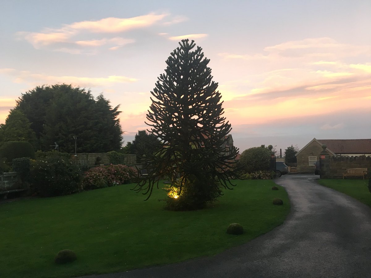 dunsley_hall's tweet photo. #TuesdayMagic #TuesdayThoughts #beautifuldusk #redsky #wonderfulwhitby #Halloween2017 #whitbygothweekend #sandsend https://t.co/nVoDXogH1K