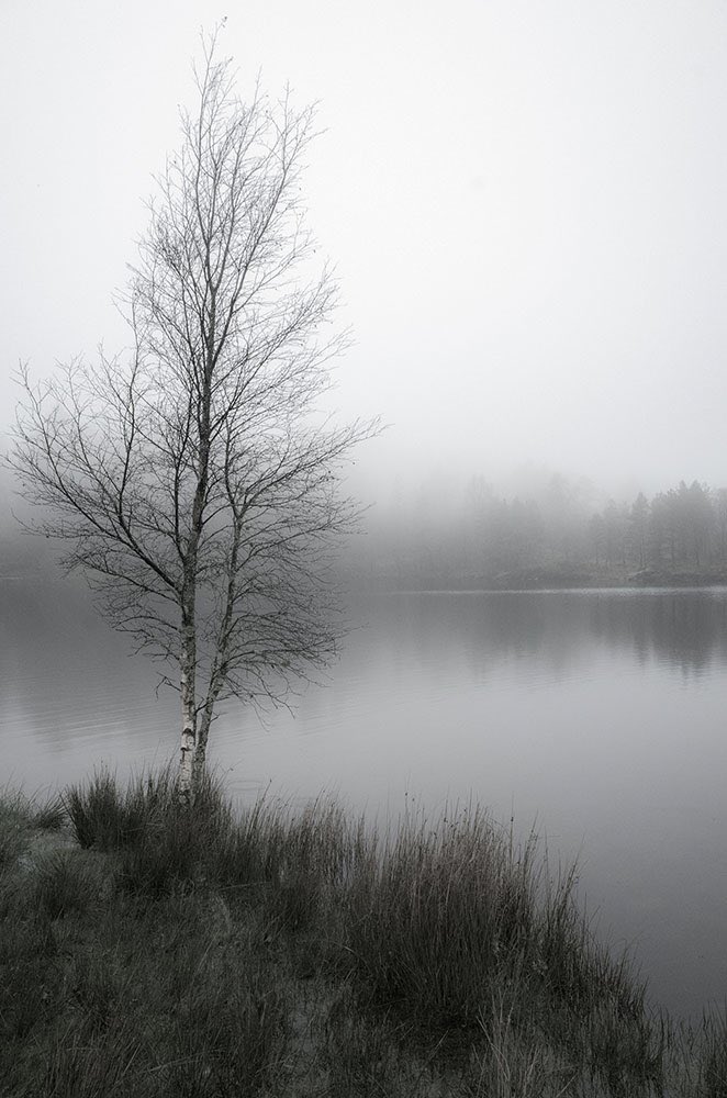 dgleavephoto's tweet photo. Last one from my series #HawksheadRevisited #landscape #art #explorelandscape #fineart #nature #LakeDistrict #nationaltrust #photography https://t.co/PxSuI4gTed