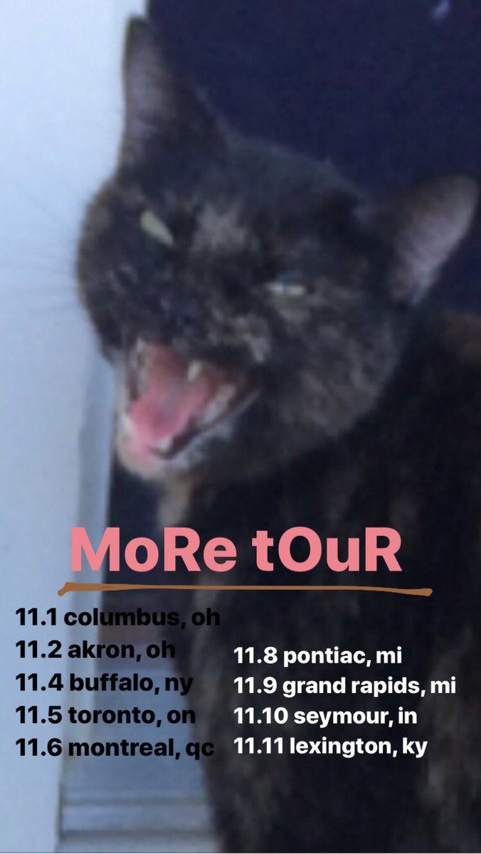 sadpennymusic's tweet photo. Meow! Tour with @birdtalkermusic starts again tomorrow! Check the dates down there 👇🏼#sssad #sadpenny #suncured https://t.co/Hpb1uzrnxr