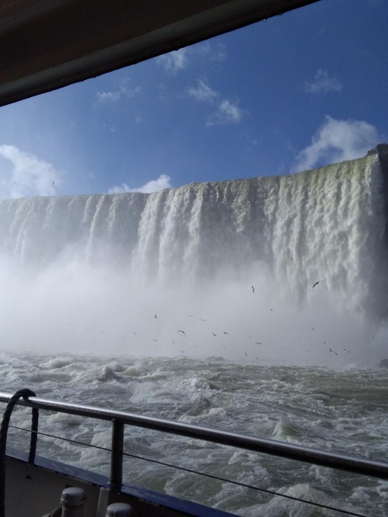 UnionIntAvocats's tweet photo. UIA's congress participants' excursion to the Niagara Falls. #impressive #UIAToronto https://t.co/Qj9xYtKlIr