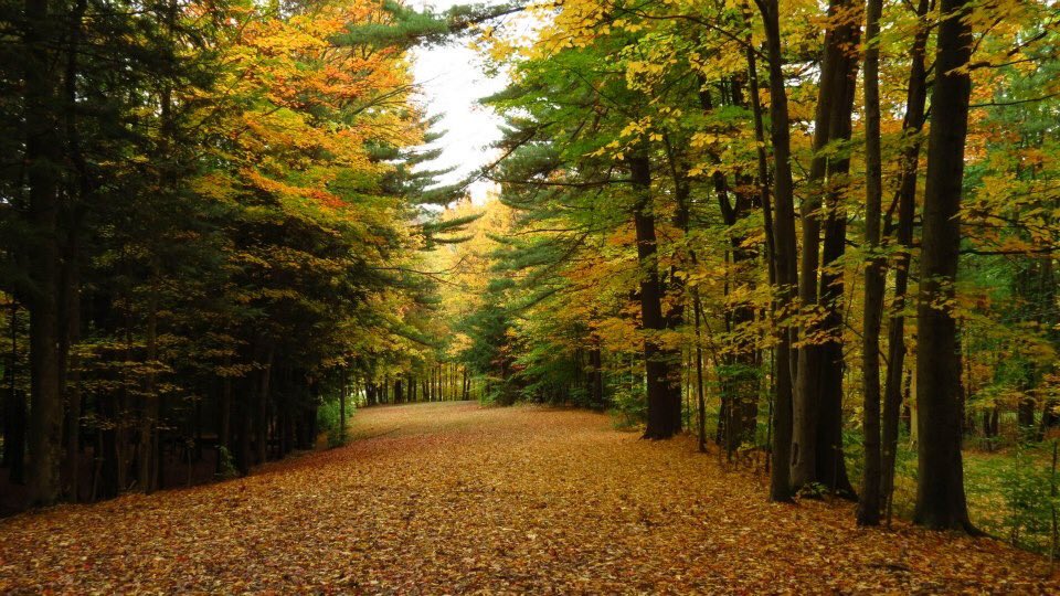 Prush27's tweet photo. Fall disc golf at Emery park, hole 1. #fallforecparks https://t.co/rkfYTbu80E