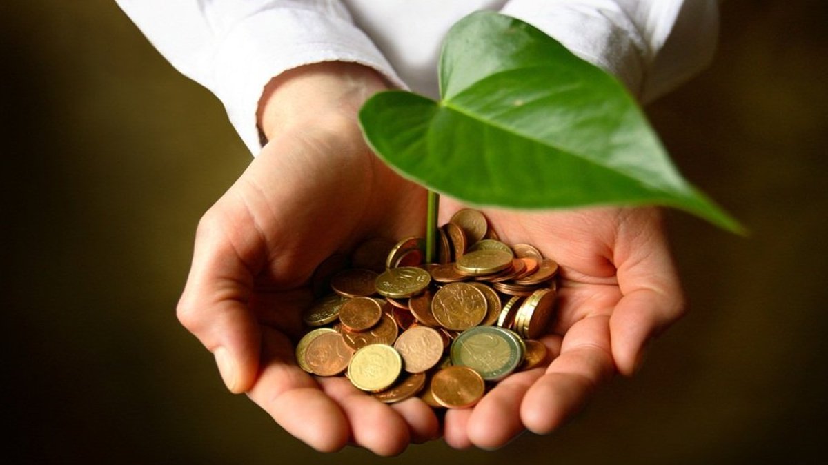MIRAPONT's tweet photo. Más dinero para negocios ambientalmente responsables @PrensaLaNacion #Bioexpo2017 #NegociosVerdes #Noticias https://t.co/NeEHxN3lHn https://t.co/OXn4R9vJUi