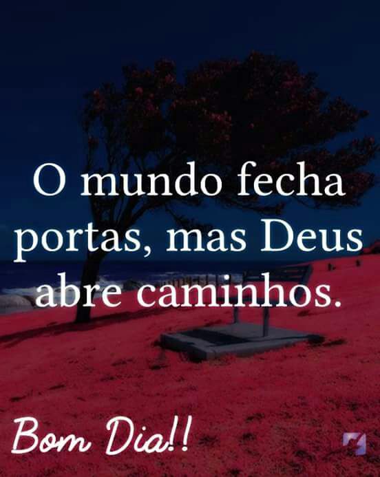 Mayco Reis #TimBeta (@maycoreis7) on Twitter photo 