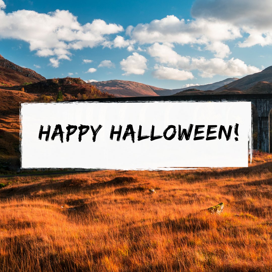powerfulhuman's tweet photo. Have a great Halloween! 🎃
#HappyHalloween https://t.co/MR6ssdlCYJ