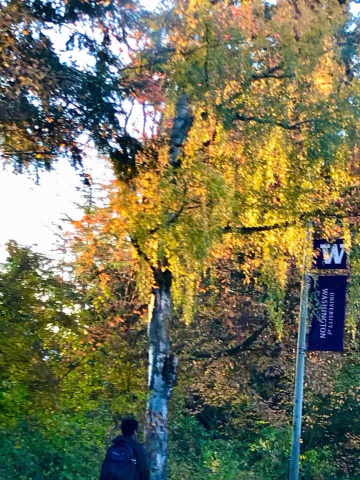What a glorious fall we're having!