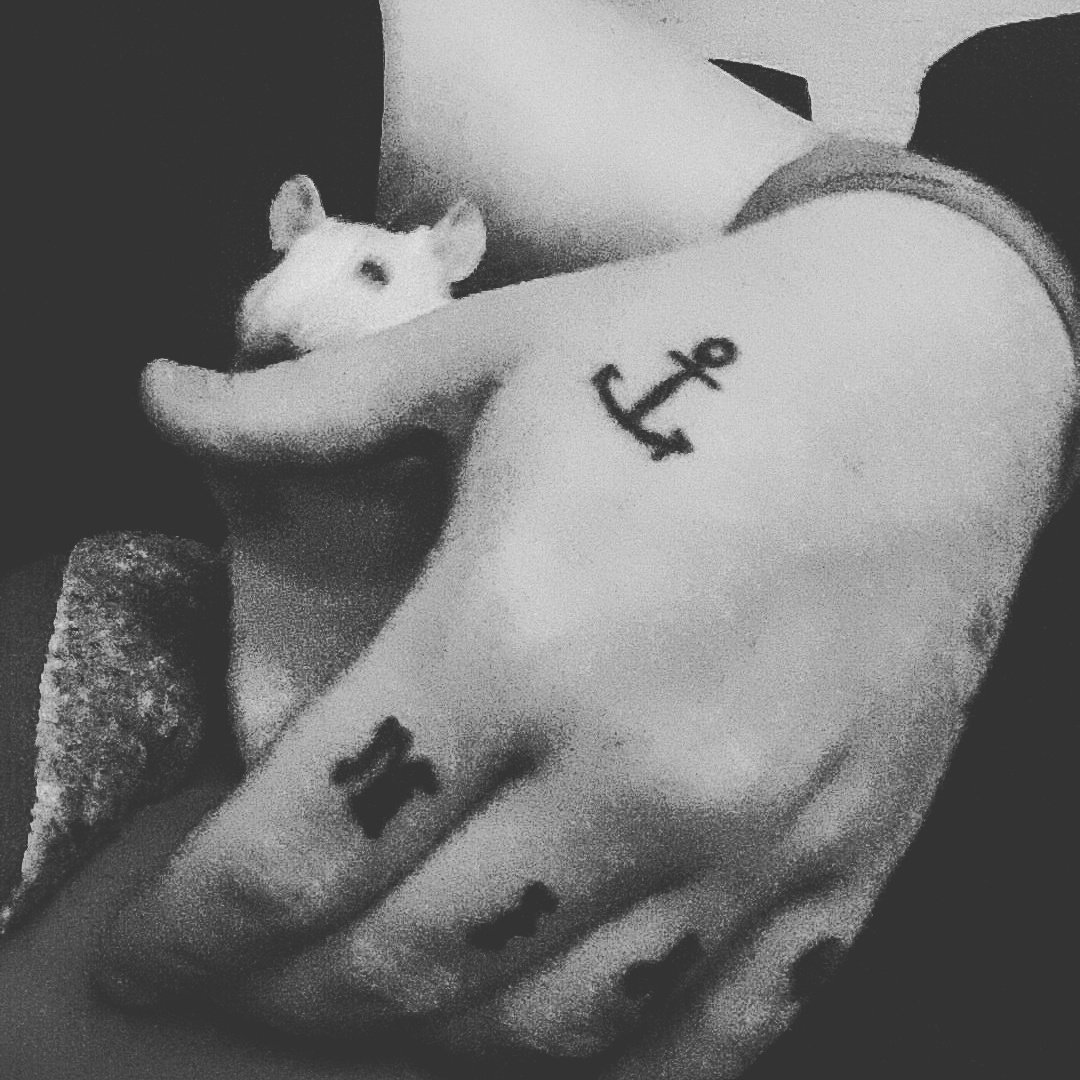Sperotix's tweet photo. My sweet little rat ❤ https://t.co/c8TibtDKIe