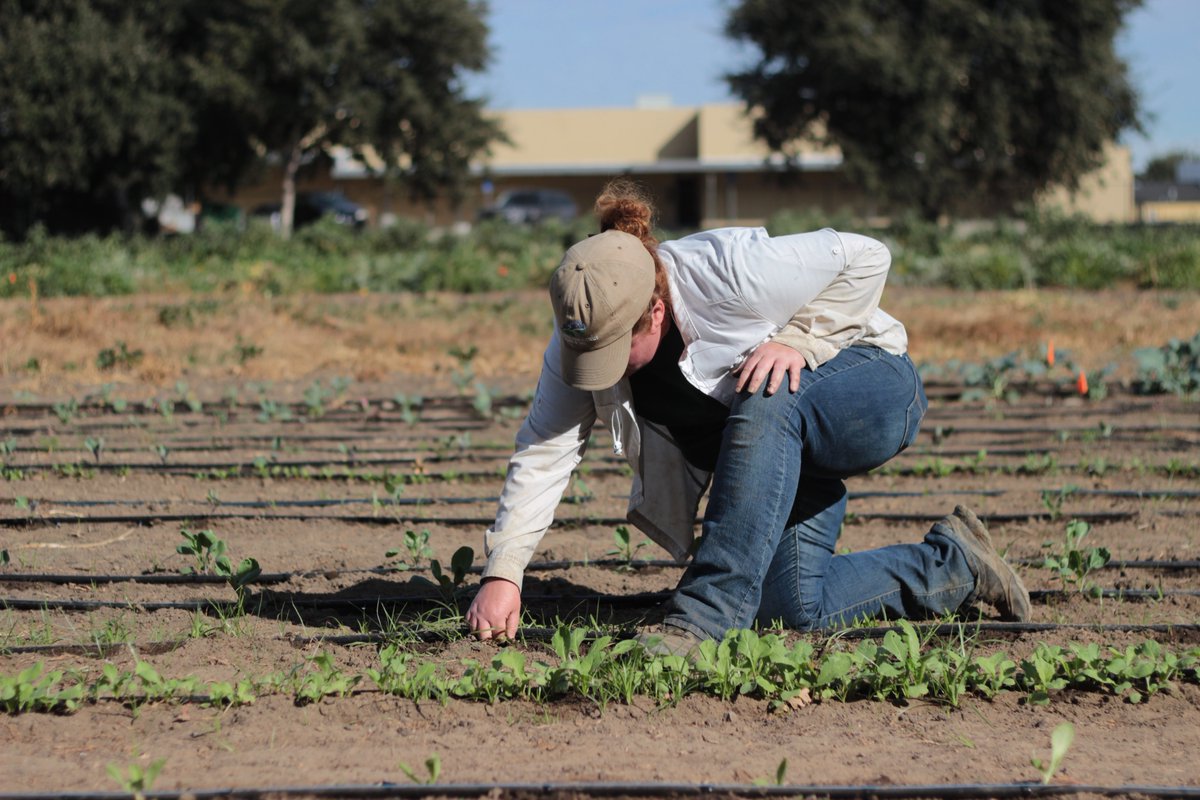 Thank you to all who make #farmtoschool possible! Nutrition staff, garden educators, farmers, teachers &amp; many more! Keep the momentum going!