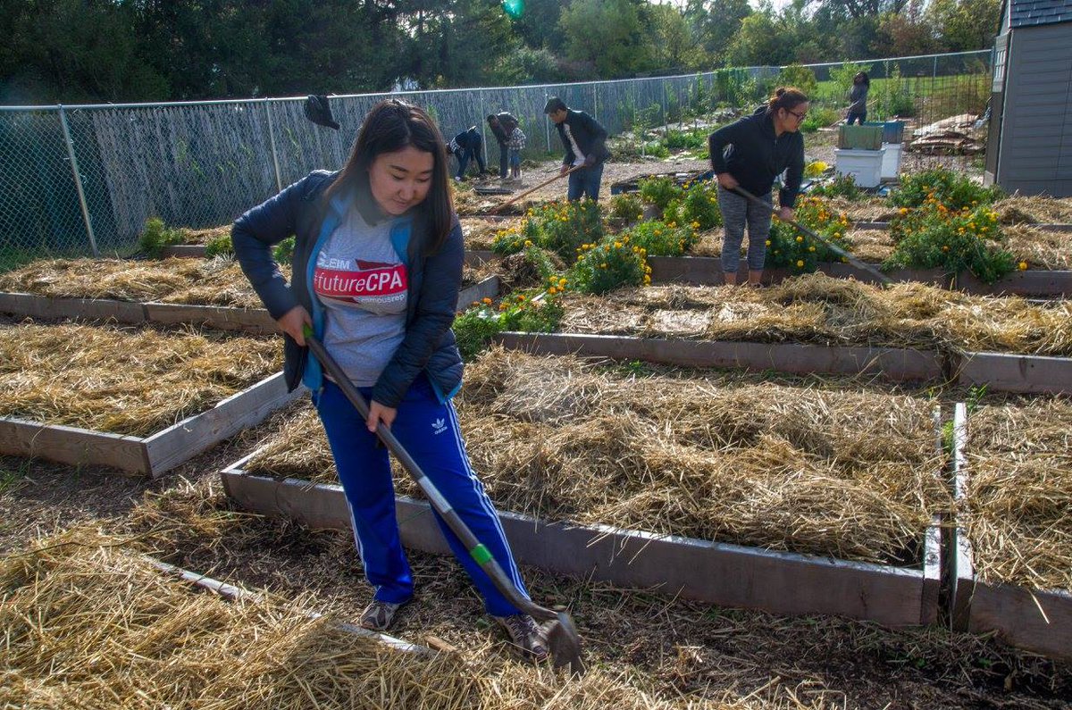 tseeko_m's tweet photo. Community Volunteer Service by RIT Fulbright Scholars at Lexington Avenue Urban Farm #FoodLink #ProudFulbrighter #futureCPA #GleimAccounting https://t.co/yaGDCvddiP