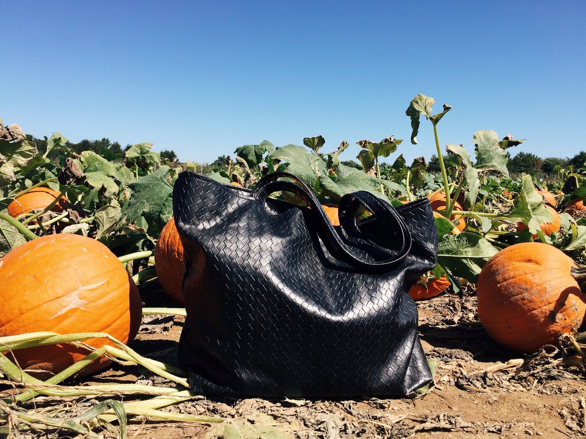 LeniPenn's tweet photo. Medium #LPTote in Black Woven 🎃🍃 #fallstyle #halloween #pumpkinpatch #montauk #lenipenn #theeverythingtote https://t.co/xgQ5vQ8l7Y