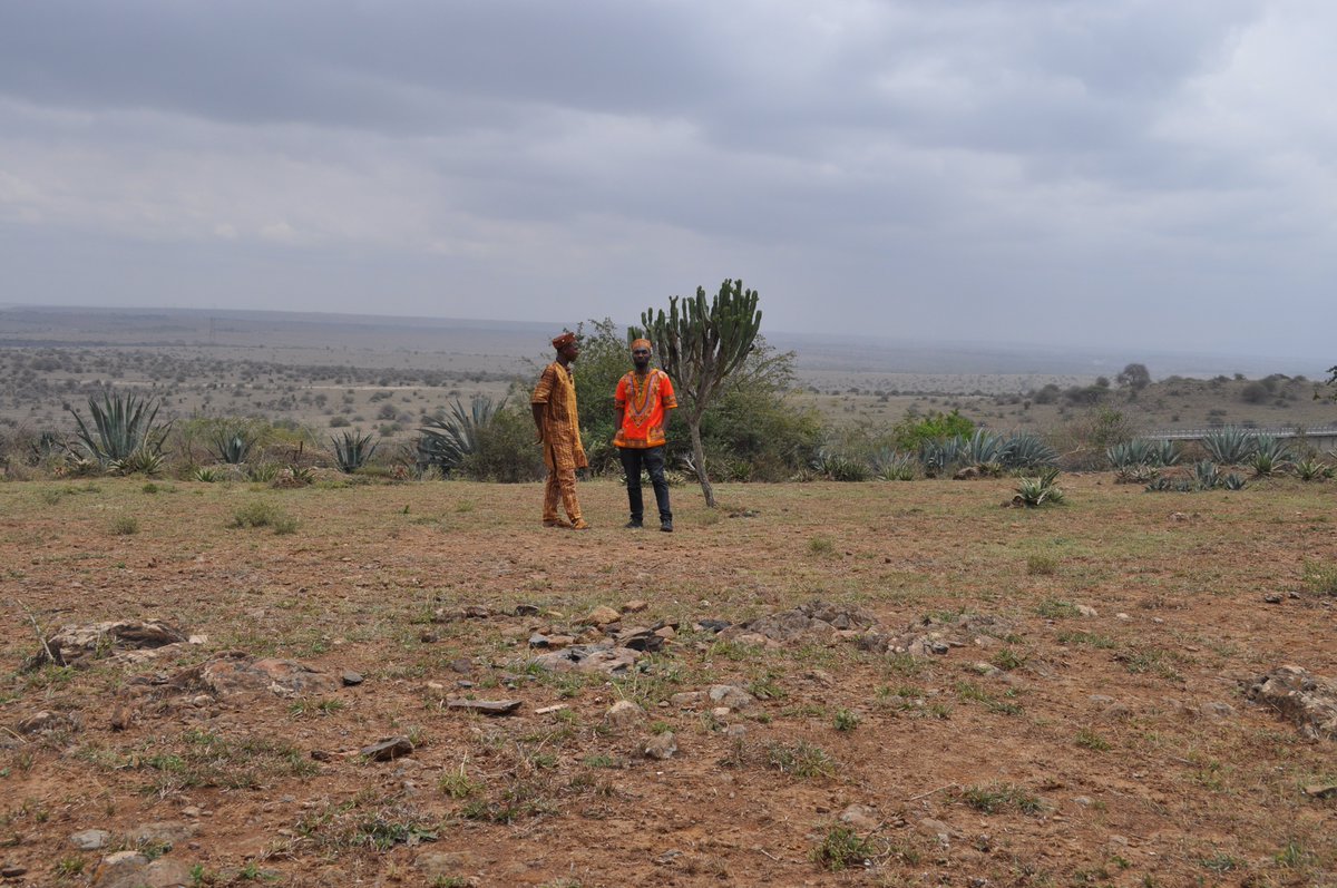 Papillon East Africa tweet media