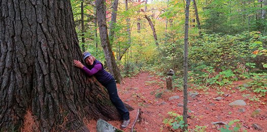 We prefer the very real world <a href="/ArowhonPines/">Arowhon Pines</a> #AlgonquinPark. Theresa inspired the hug to the Medicine Tree and we are sending her our hugs to an equally lovely--albeit younger being:). Cheers, Cindy (and Norm) View more: arowhonpines.ca/love/share/