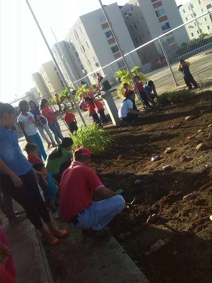 peninsulaparag1's tweet photo. @MPPEDUCACION Hoy en el C.E.I. Península de @peninsulaparag1 Activados con todas las manos a la Siembra de Cebollin,Cilantro Ajo y Pimentón. https://t.co/prqPwrHA6j