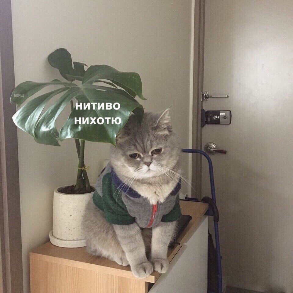 Вика (@samotaeva) on Twitter photo 