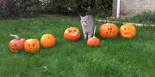 Happy Halloween !