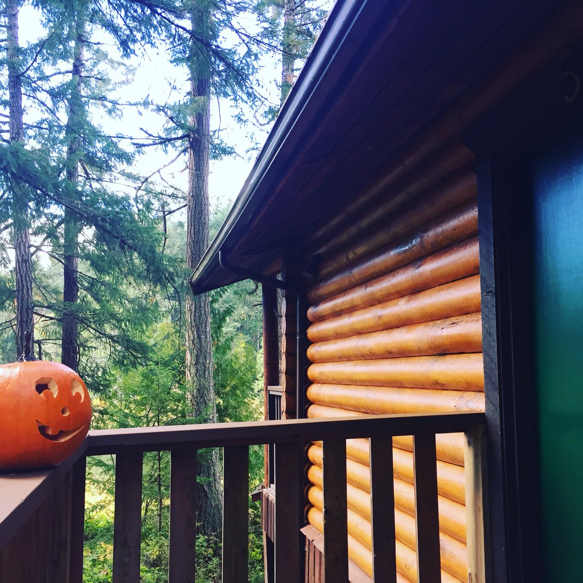 Cusheon Lake Resort tweet media