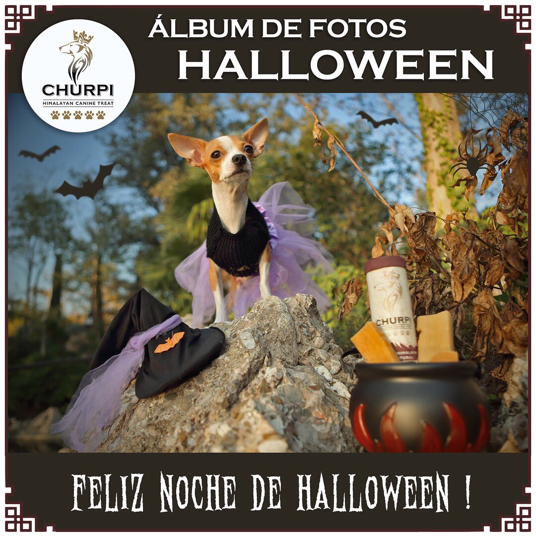 ChurpiDog's tweet photo. #Fotos #Halloween
Feliz Halloween 🦉🔮💀🦇👻 https://t.co/ZCcFt7j6d6