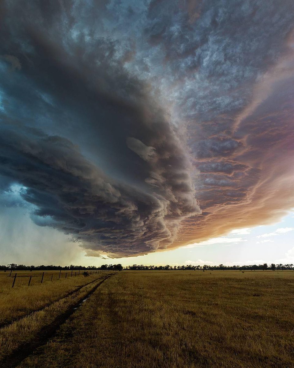 farhat ali tweet media