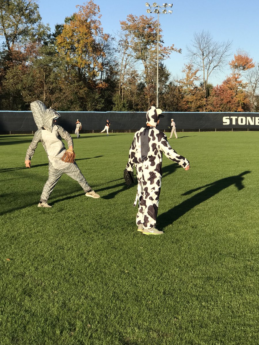 SB_Baseball's tweet photo. Halloween practice for the final day this fall. We had a cow grazing on the field and a run away squirrel. Somehow the senior/freshman team pulled out a 1 run victory. https://t.co/wUYYyNnkPy