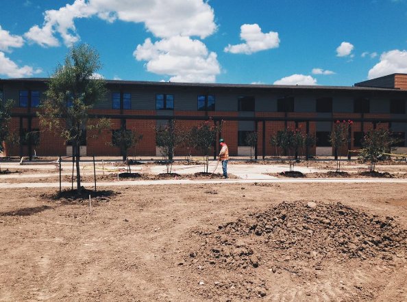 StarOfHope's tweet image. Thank you @TreesForHouston for donating &amp;amp; planting 258 trees at Star of Hope&apos;s Cornerstone Community!! #treesforhouston #beautifyourcity