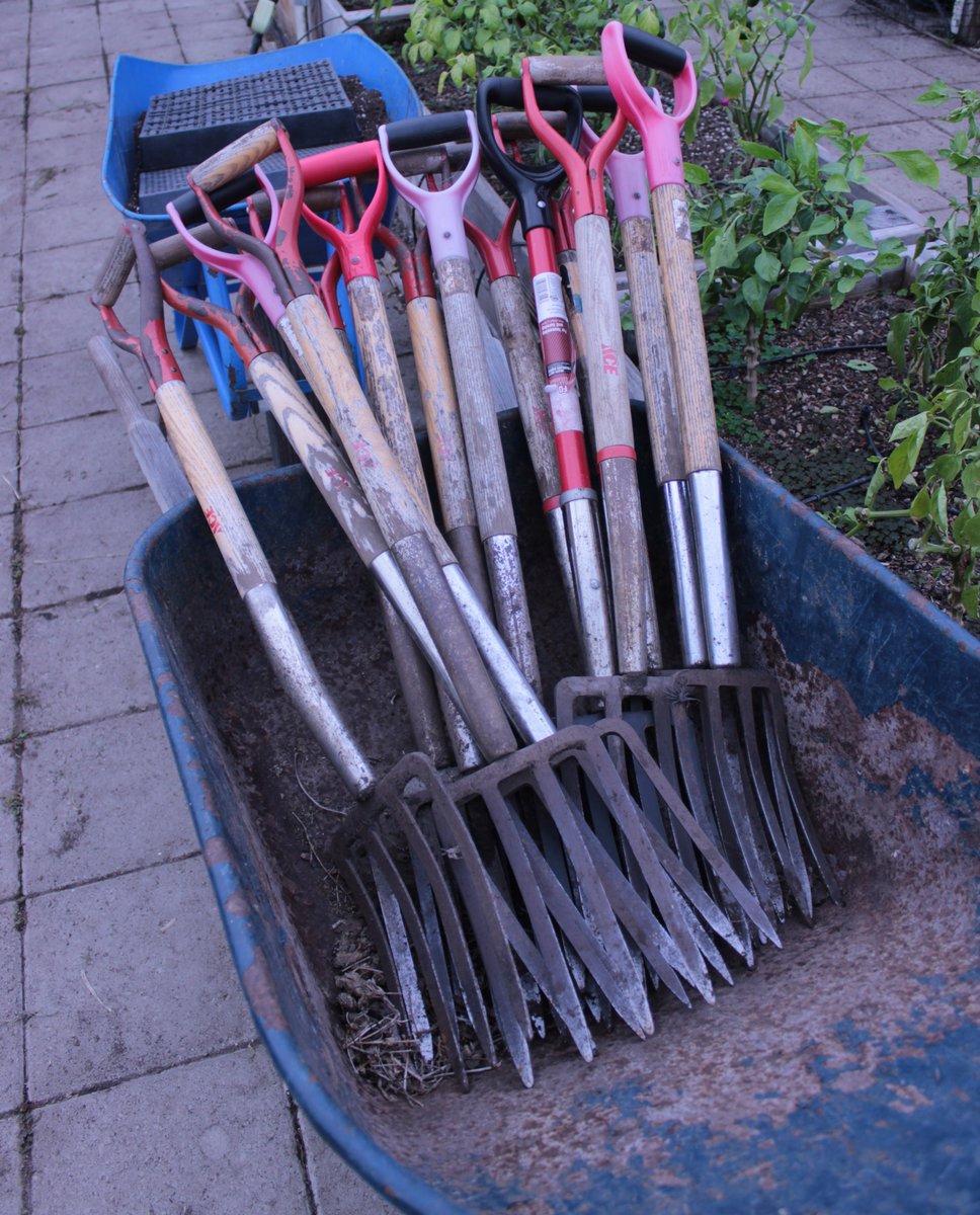 We are nearing the end of #F2SMonth, but that doesn't mean slow your #farmtoschool efforts. Check out cafarmtoschool.org for resources!