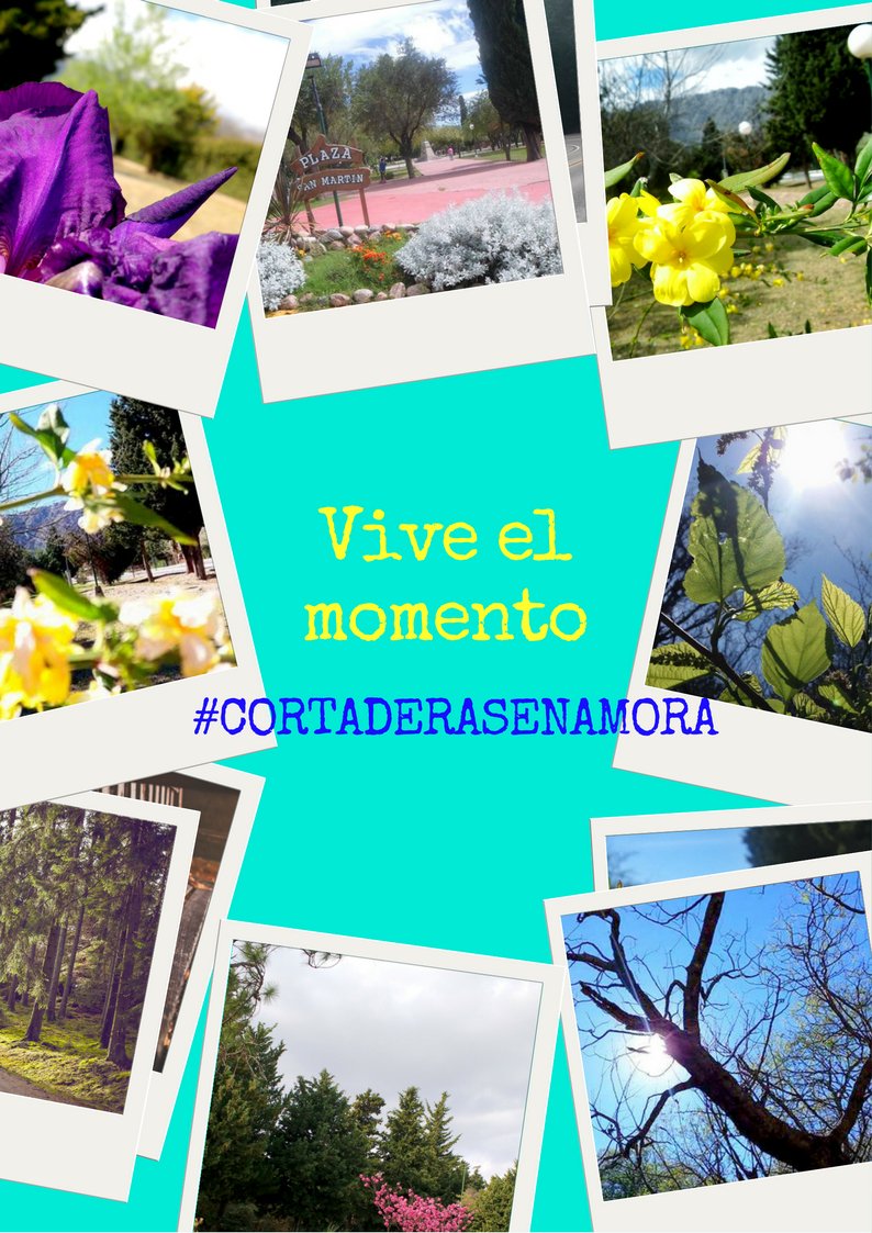CortaderasSL's tweet photo. #CortaderasEnamora
#SanLuisPuroTurismo
Te esperamos para que vivas tu momento :) https://t.co/m50HZeDmm3