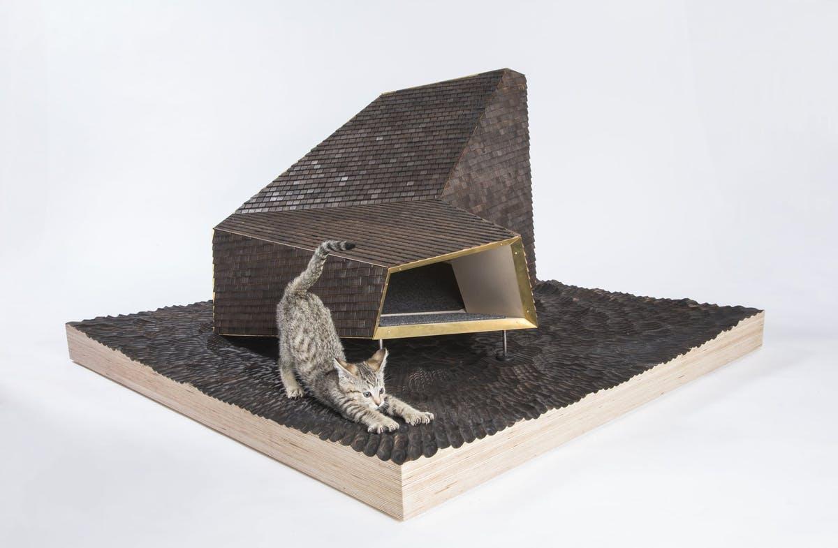 archinect's tweet photo. .@FixNation & #ArchitectsForAnimals Fundraise with Cat Shelter Showcase https://t.co/qfHeZoyDYm https://t.co/IwAlwN5v81
